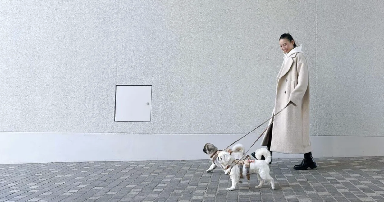 2026年はこれを頑張る💪